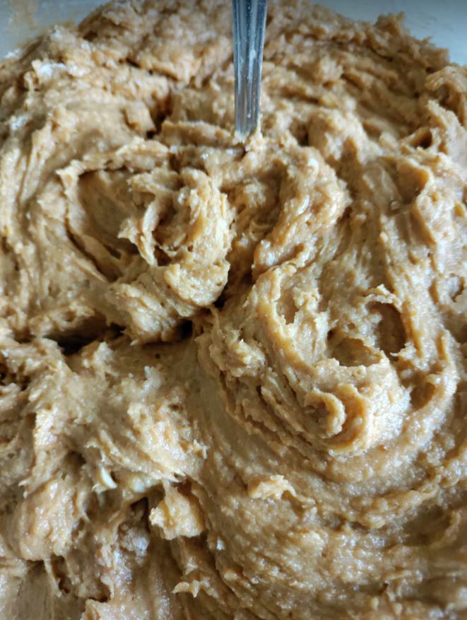 Without Chocolate Chips