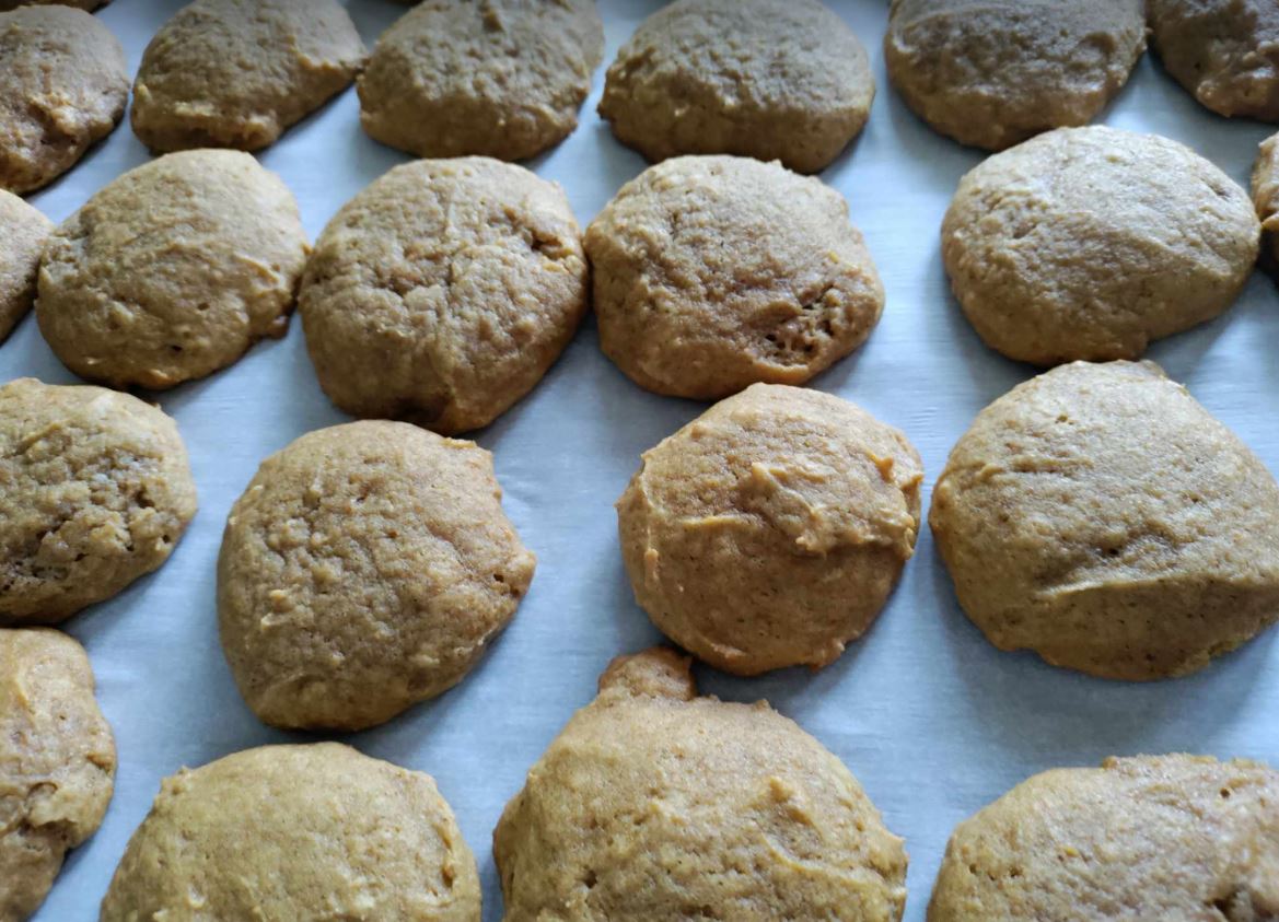 Fresh Out of the Oven