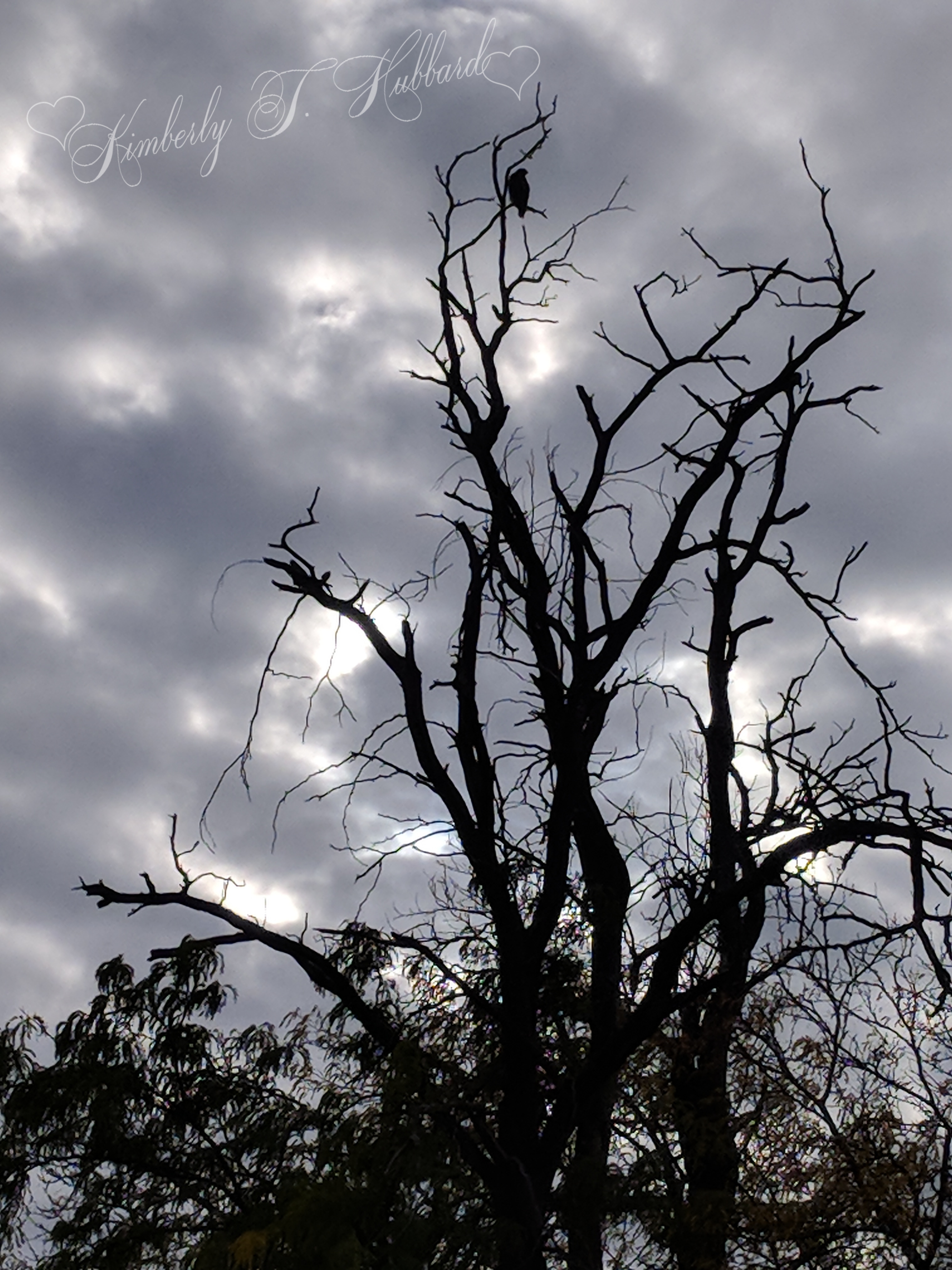 Halloween Tree