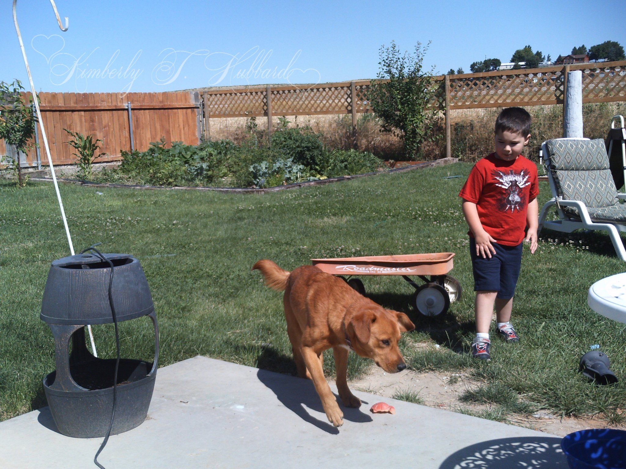 Just A Boy & His Dog